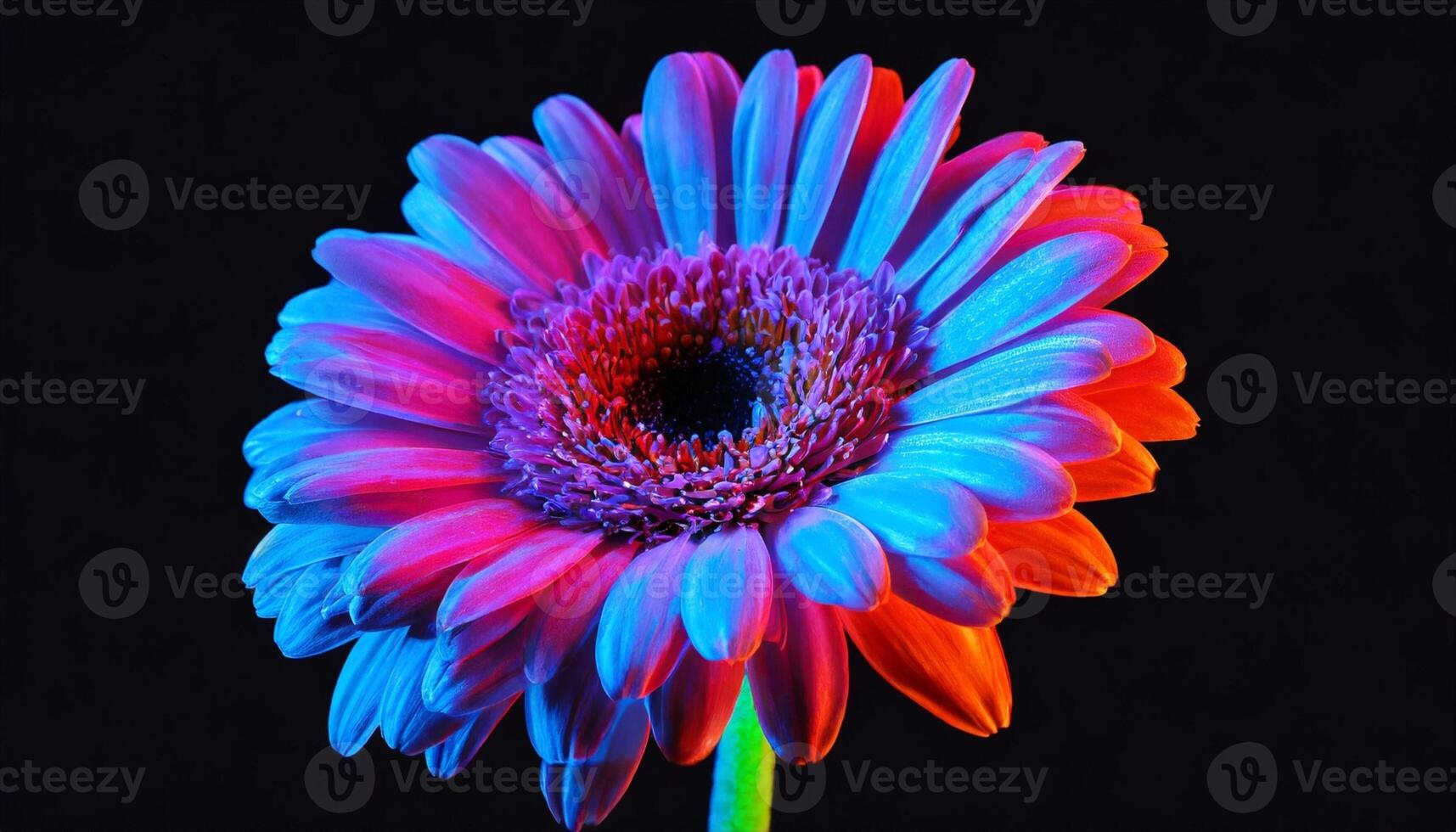 AI generated a colorful flower is shown against a black background photo