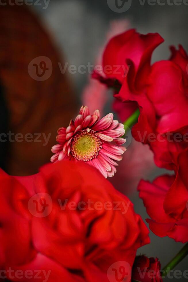 Red Flowers on Table photo