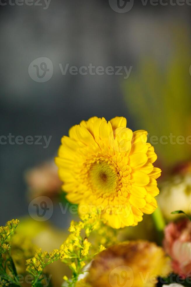 Close-Up of Vibrant Yellow Flower in Vase photo
