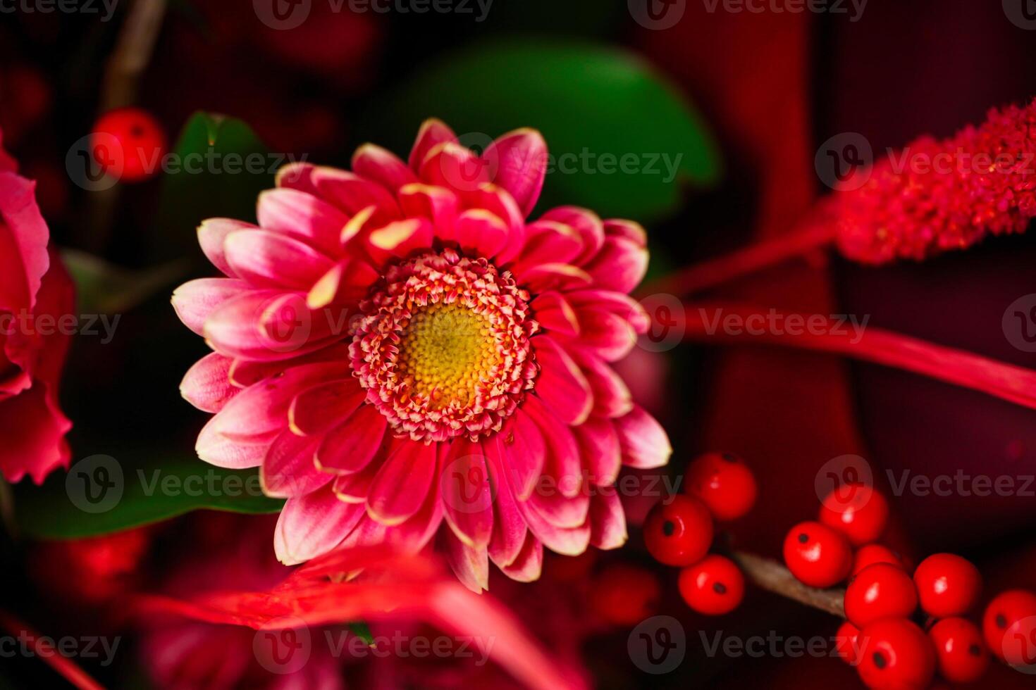 Close Up of Pink Flower With Red Berries photo