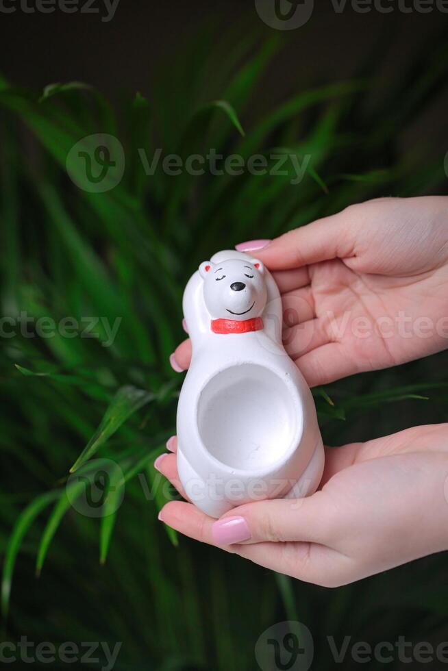 Person Holding Small White Bear, Heartwarming Snapshot photo