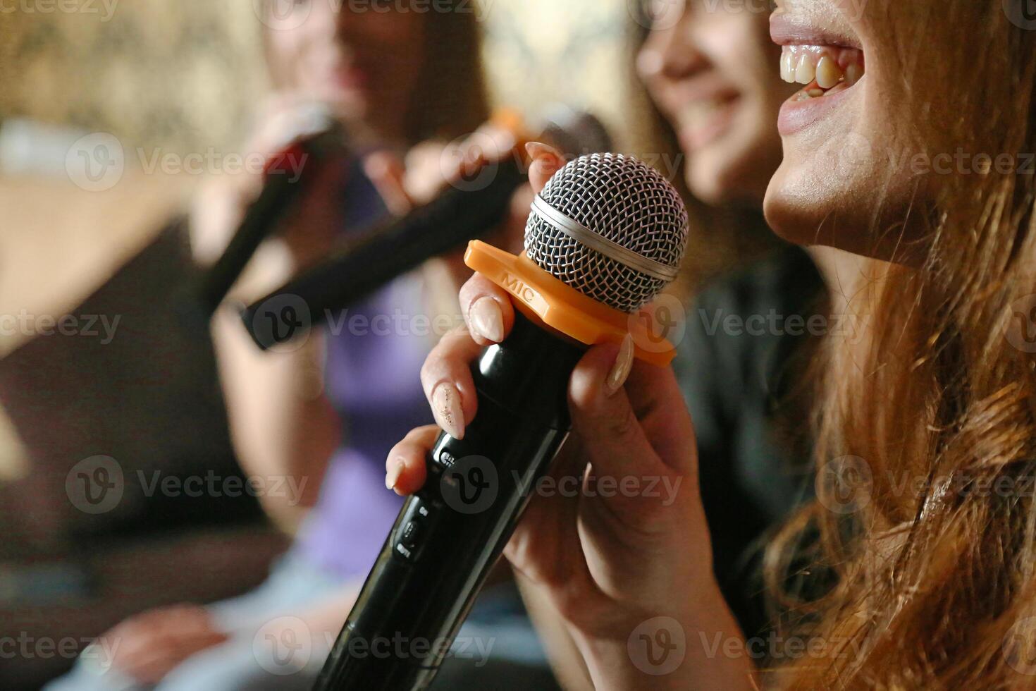 Close Up of Person Holding Microphone for Speech photo