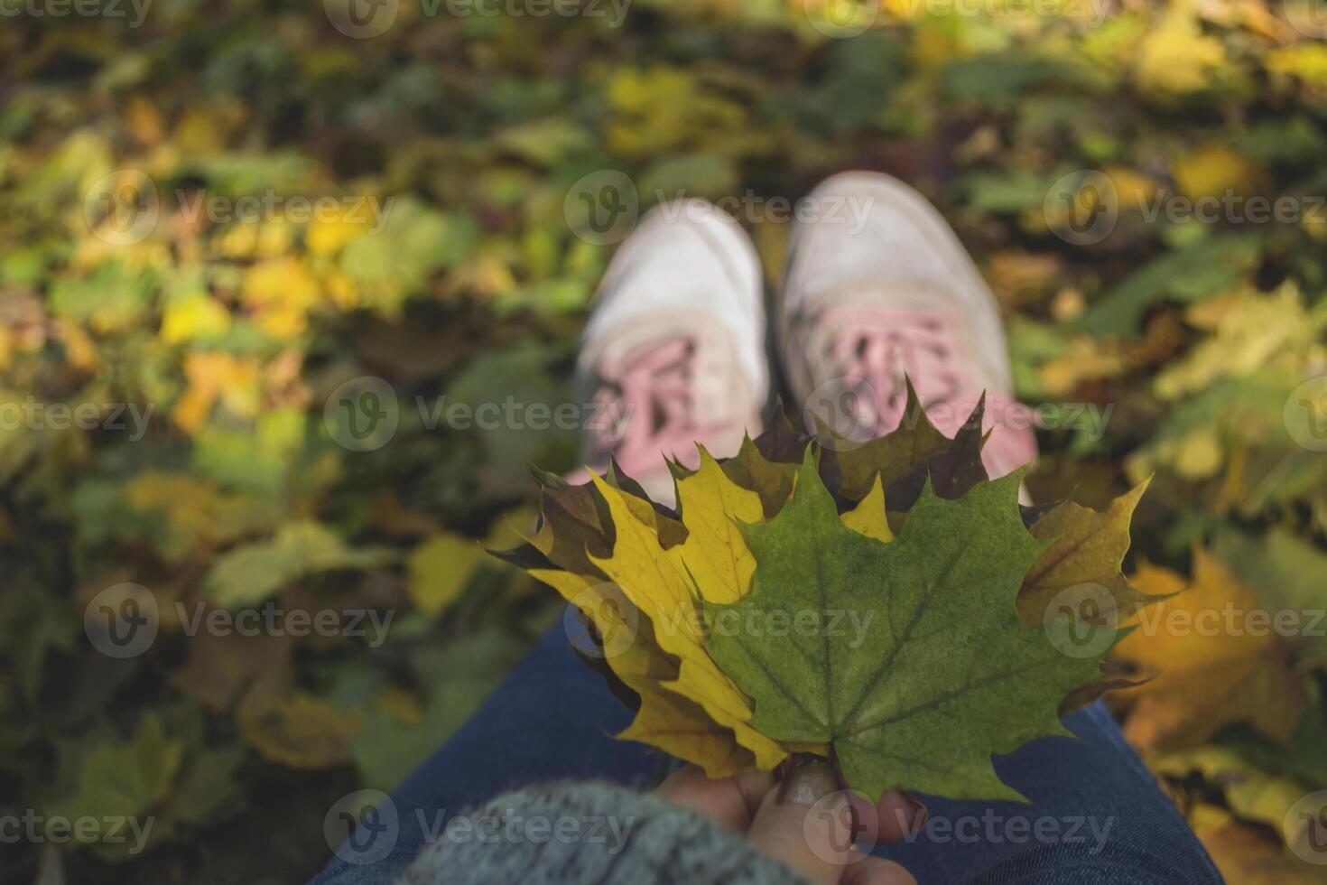 Woman holding the colorful autumn leaves. A bouquet of fallen leaves. Autumn vibes. photo