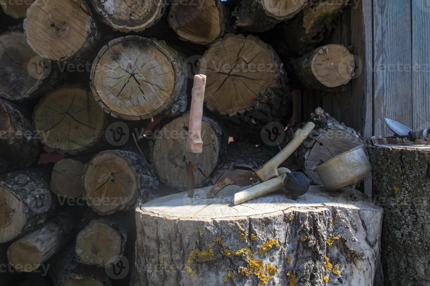 An instruments against a woods background. photo