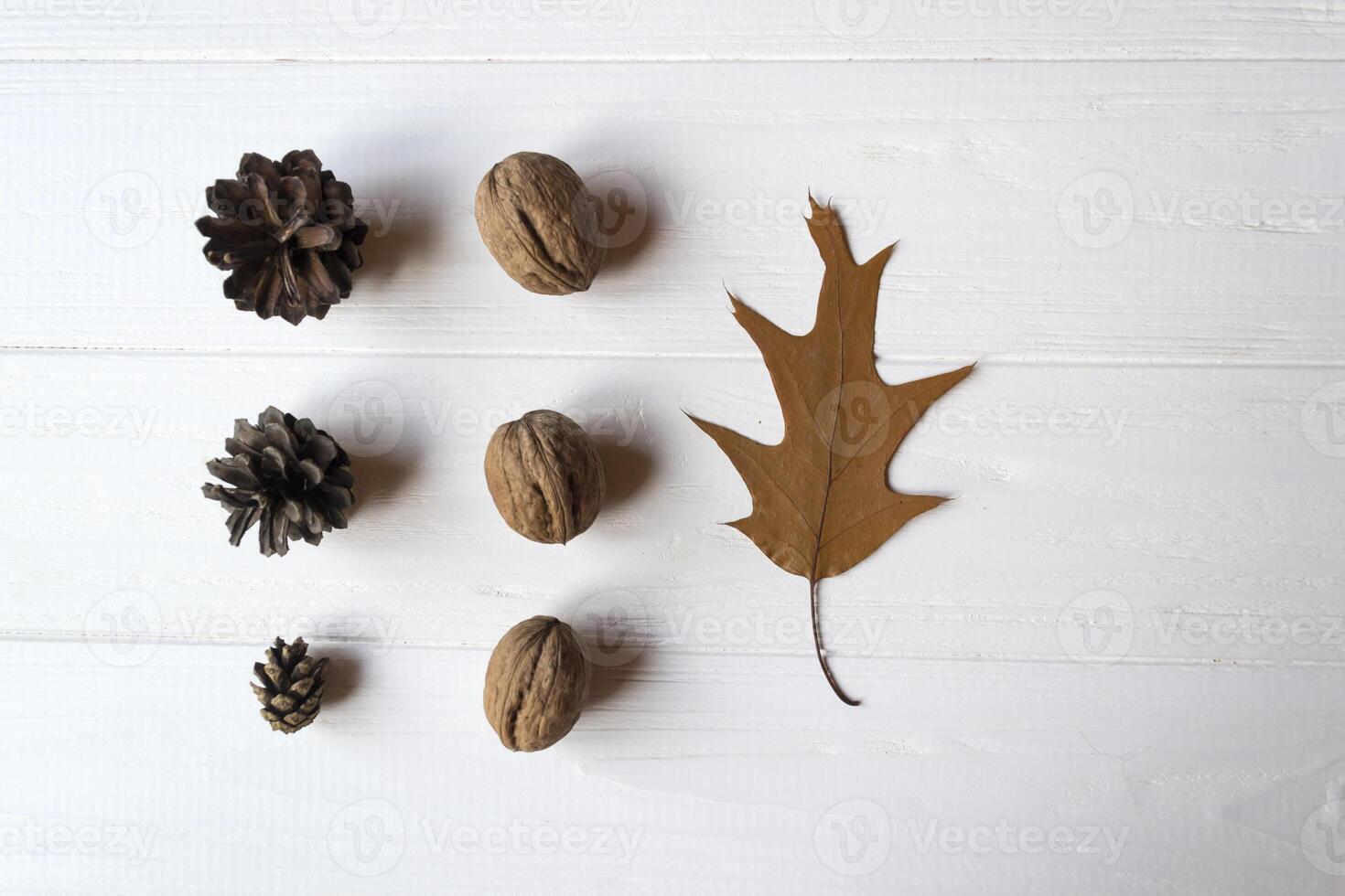 Pine cones and walnuts on a white table. photo