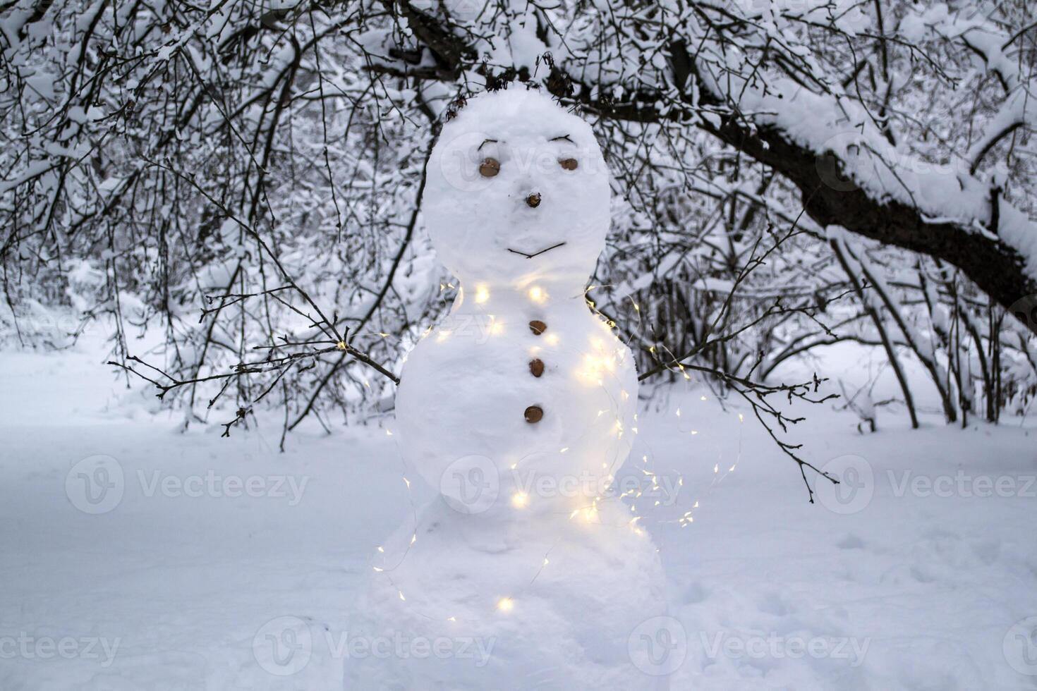 A cute snowman in the winter park. photo