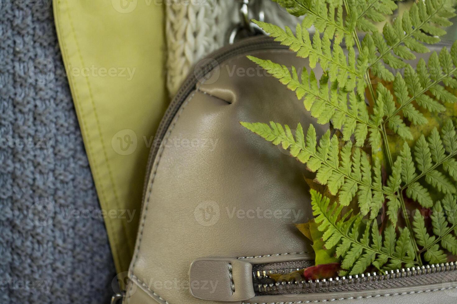 Fern in bag close up. The textures of autumn. photo