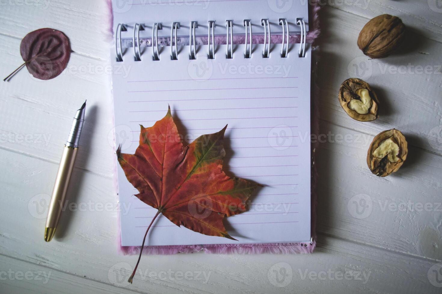 An opened notebook and pen on a desktop with decoration by fallen leaves. Atmospheric autumn background with copy space. photo