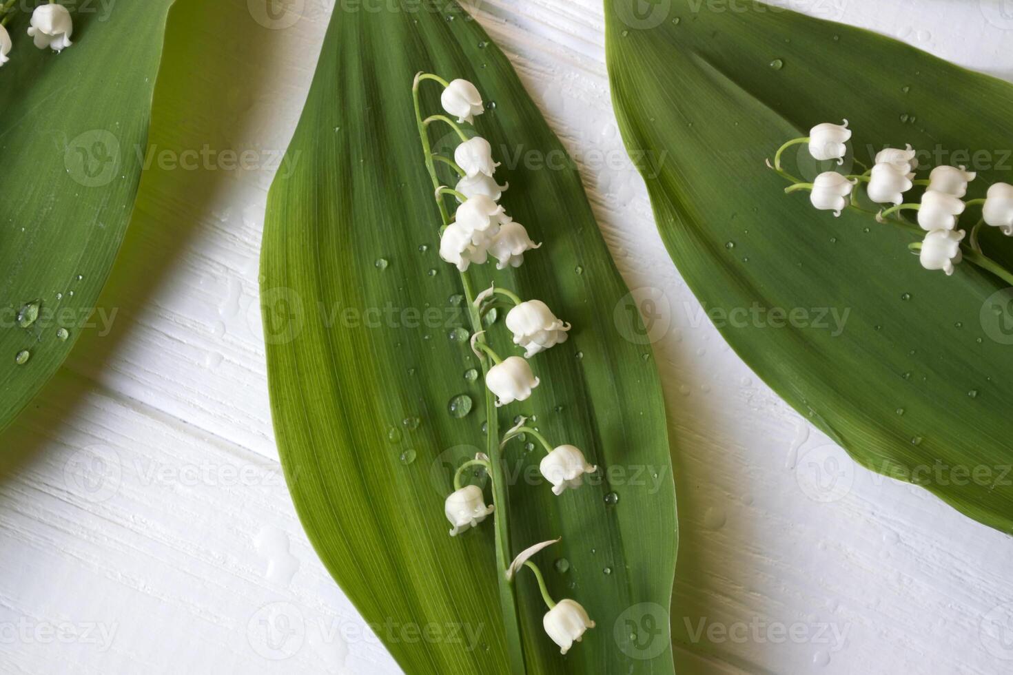 Lily of the valley on a white wooden background. Wild forest flower. photo