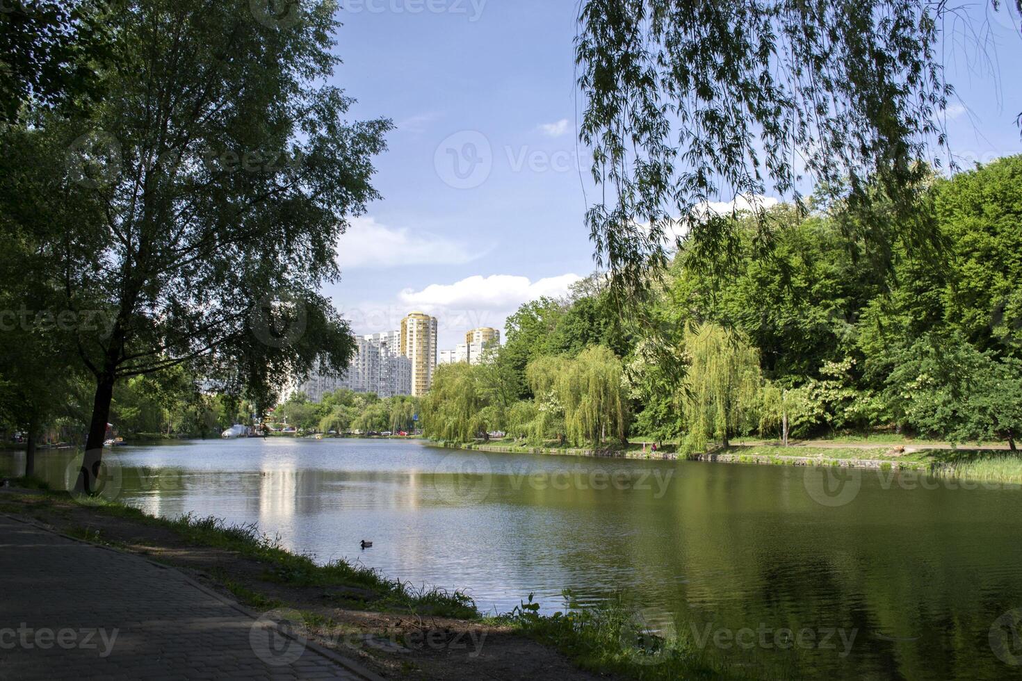 Recreation area for urban residents. Beautiful summer cityscape. photo