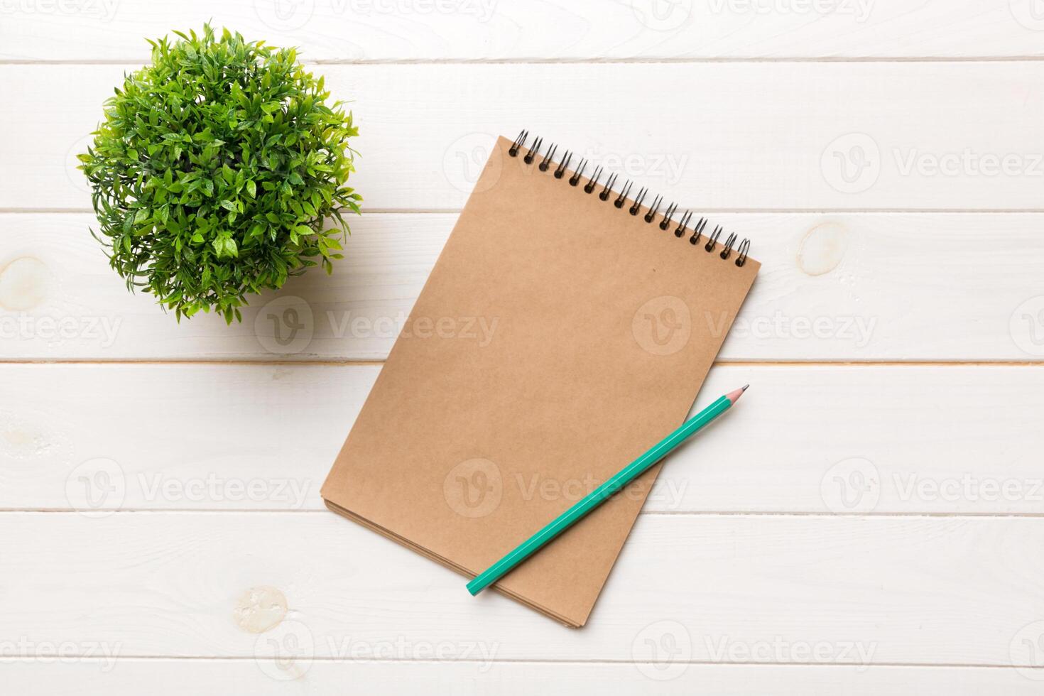 Modern office desk table with notebook and other supplies with green tree. Blank notebook page for you design. Top view, flat lay photo