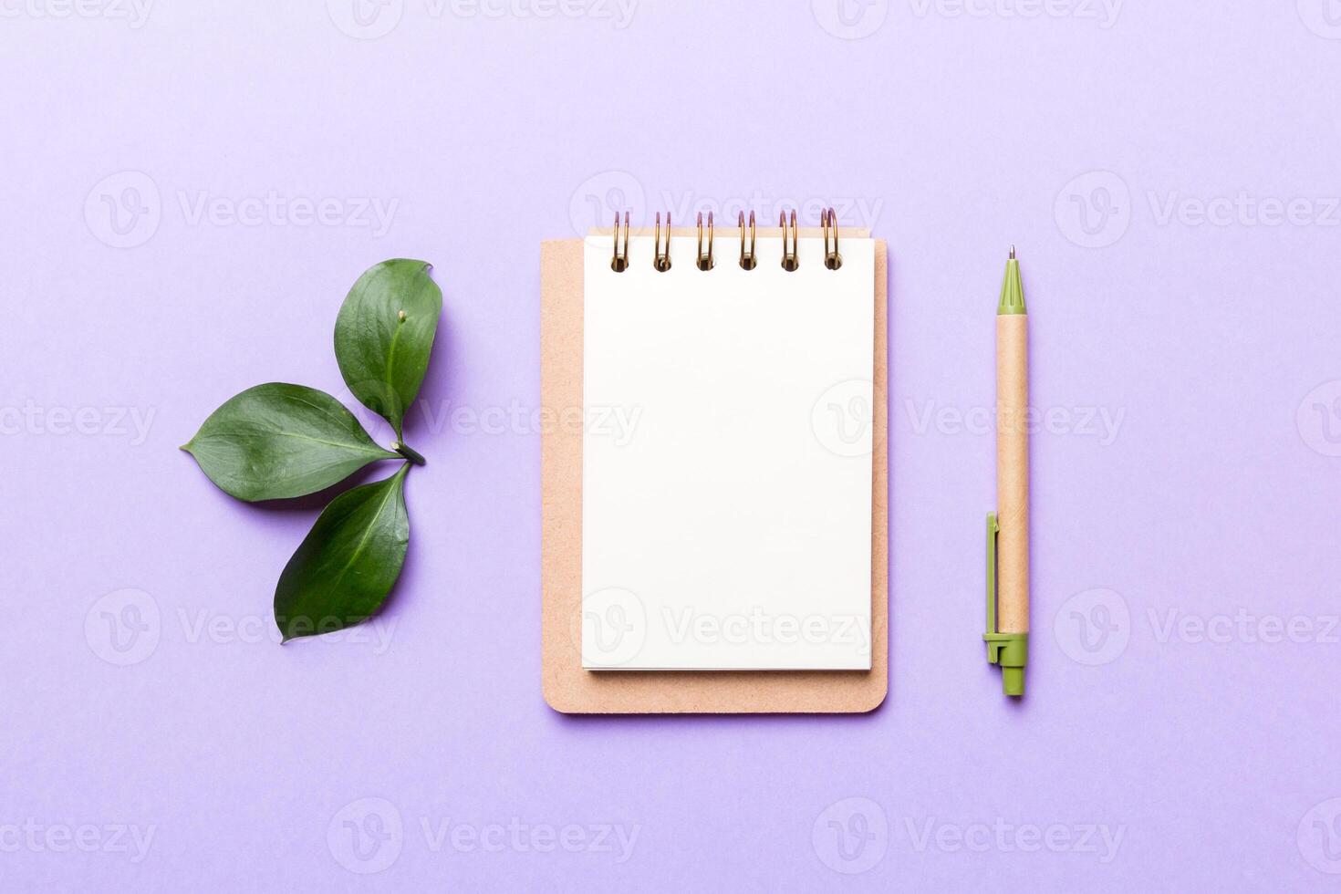 eco-friendly Empty notebook with pen and green leaf on Colored background for note photo