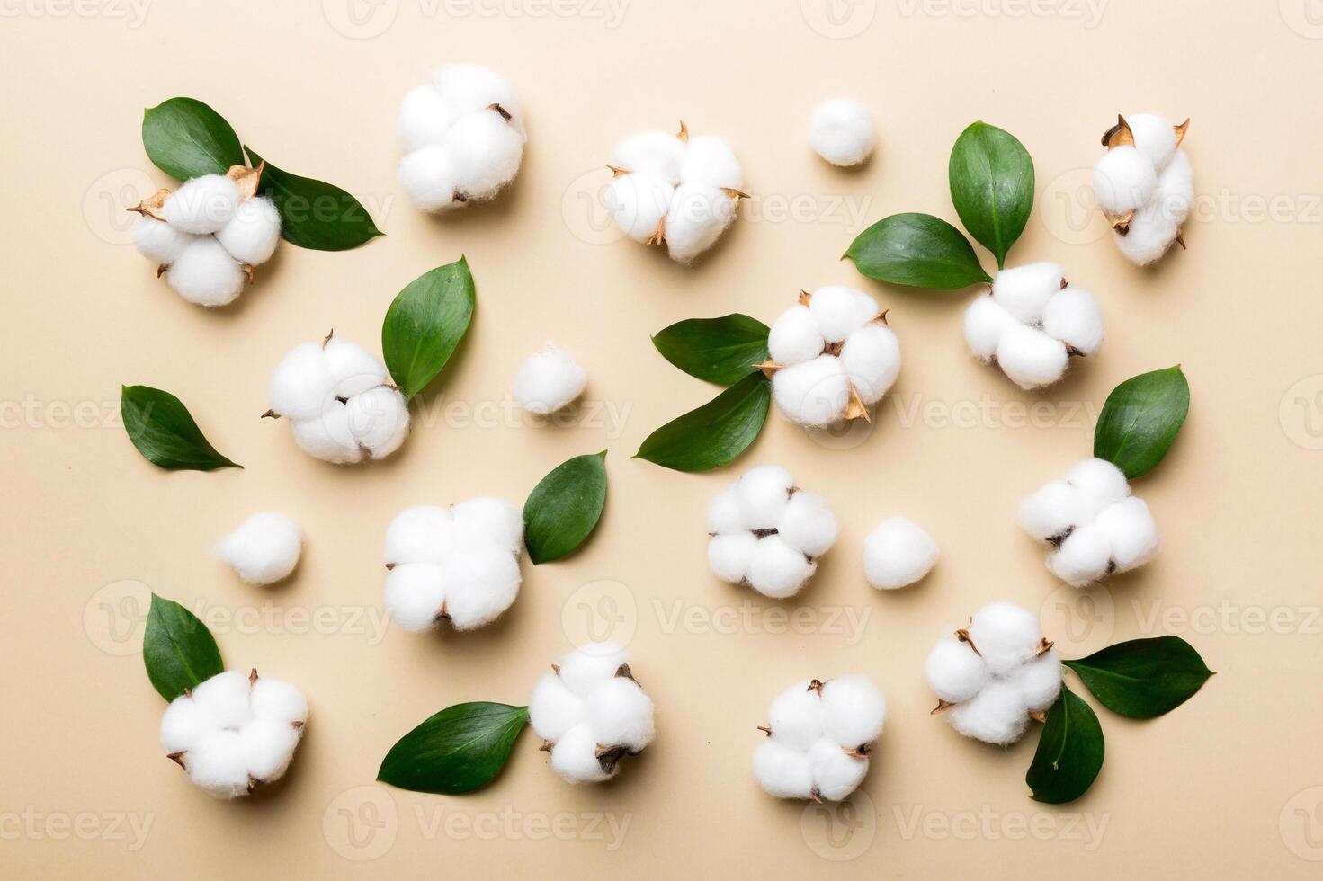 Autumn Floral Flat lay background composition. Dried white fluffy cotton flower branchwith green leaf top view on colored table with copy space photo