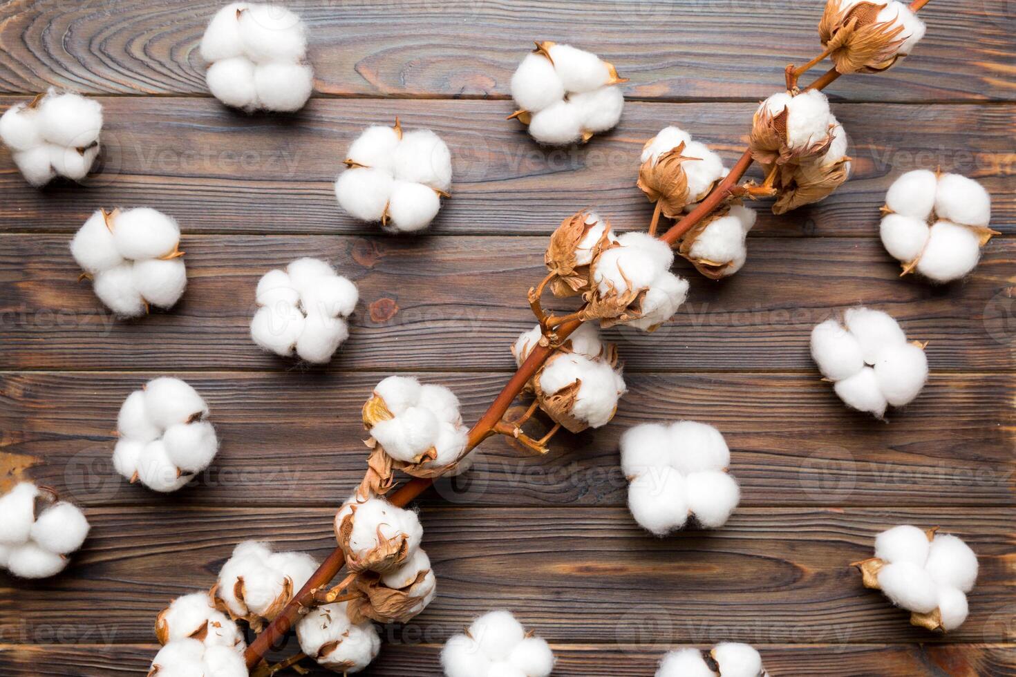 Autumn Floral Flat lay background composition. Dried white fluffy cotton flower branch top view on colored table with copy space photo