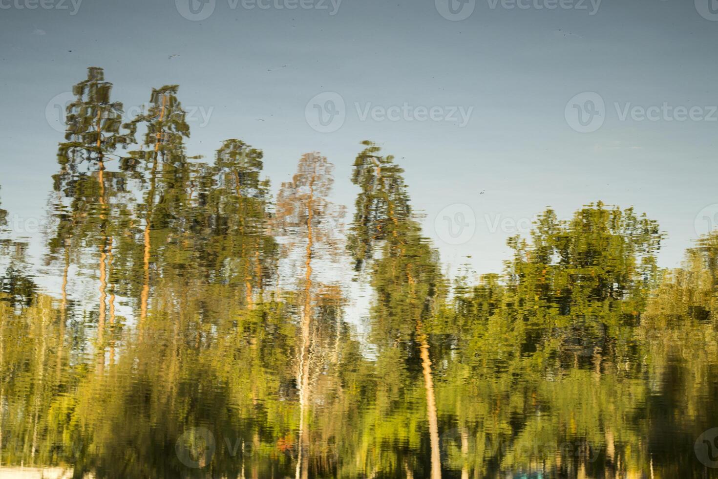 reflexión de bosque en el lago agua. foto