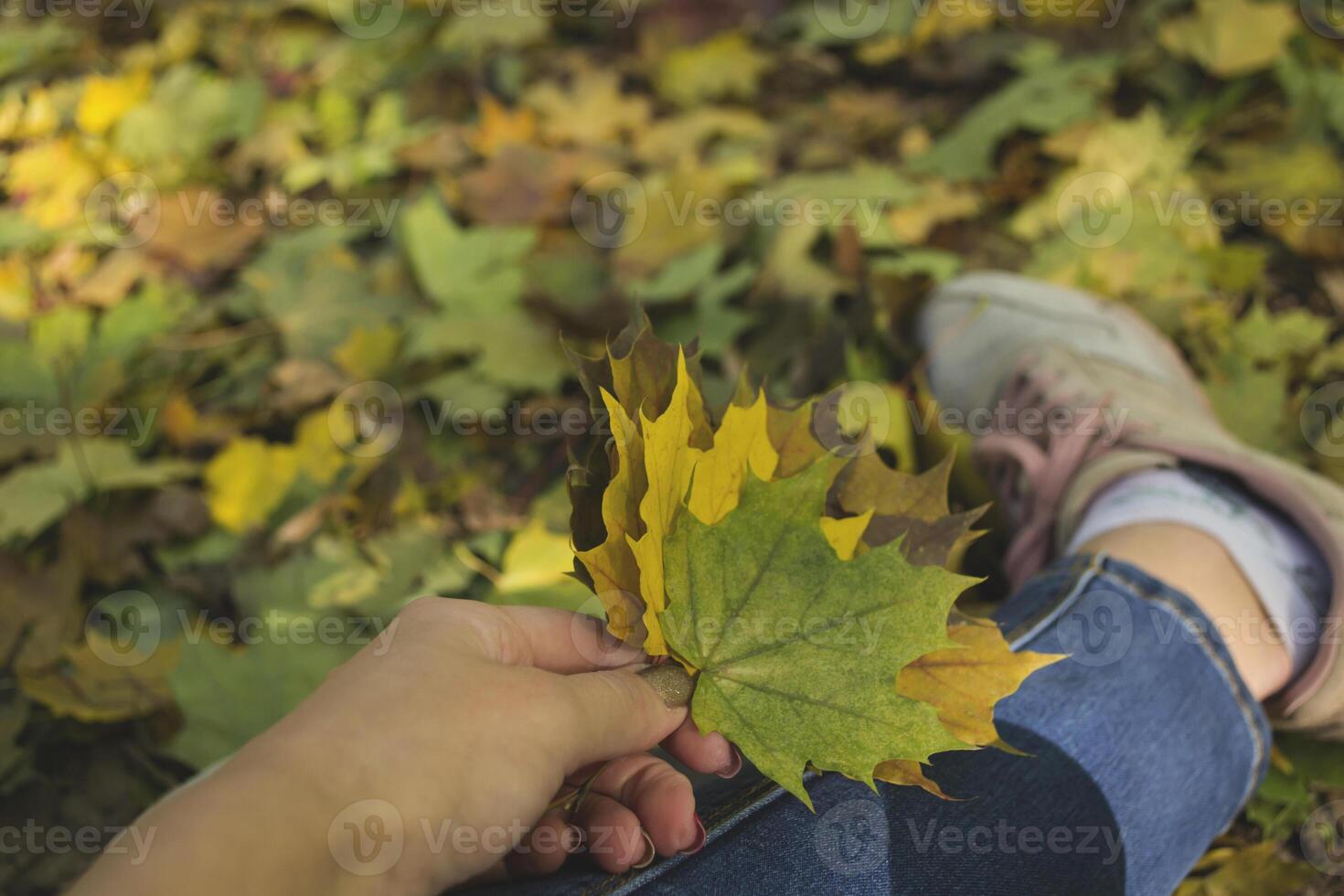 Woman holding the colorful autumn leaves. A bouquet of fallen leaves. Autumn vibes. photo