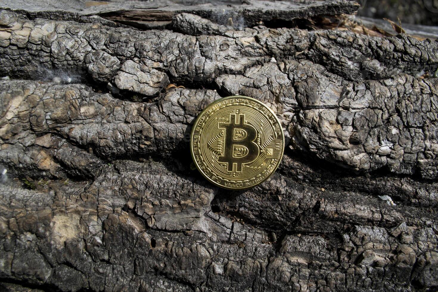 Golden coin of crypto currency on a wooden background. Golden bitcoin. photo