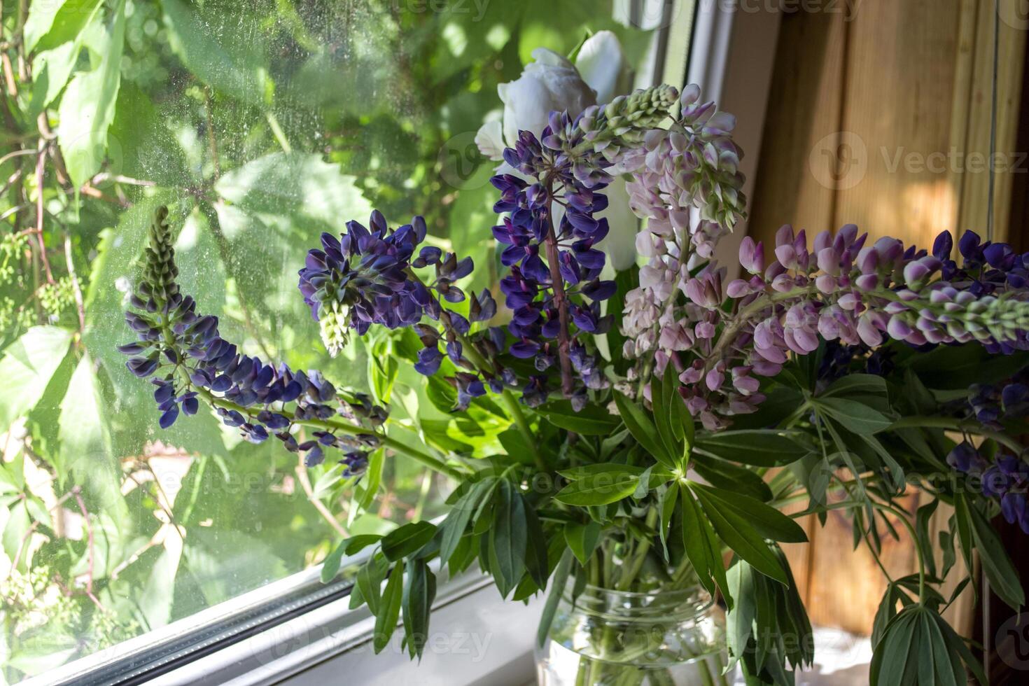 The vase with lupines on a window. photo