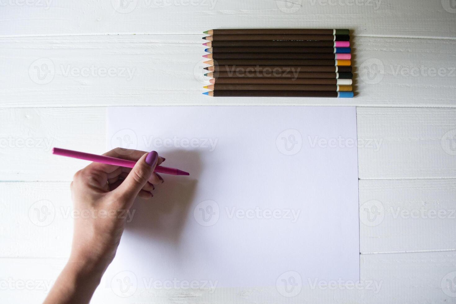 mujer es dibujo en un blanco papel. herramientas para dibujo, foto