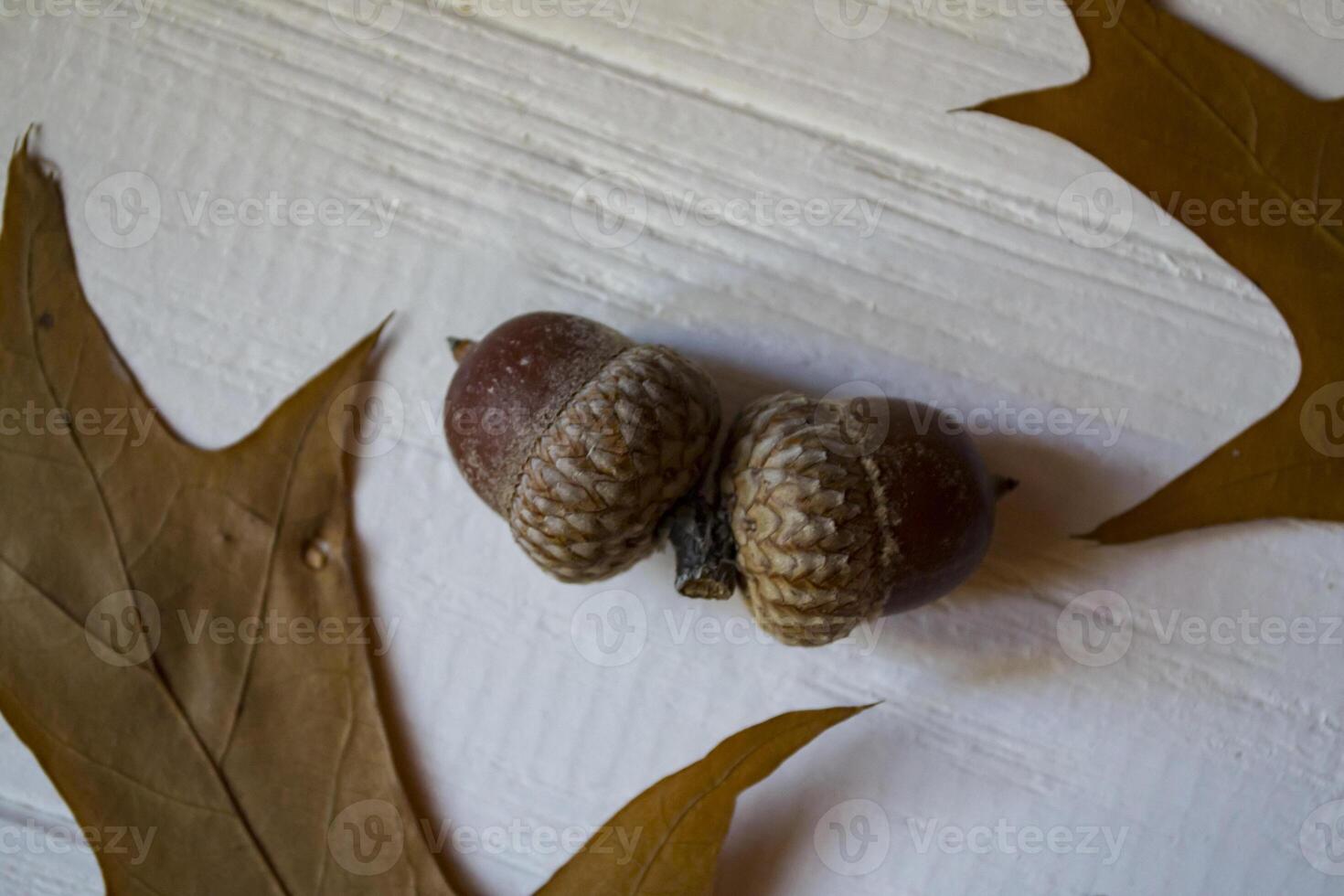 Autumn leaves on a white wooden background. Bright pattern. photo