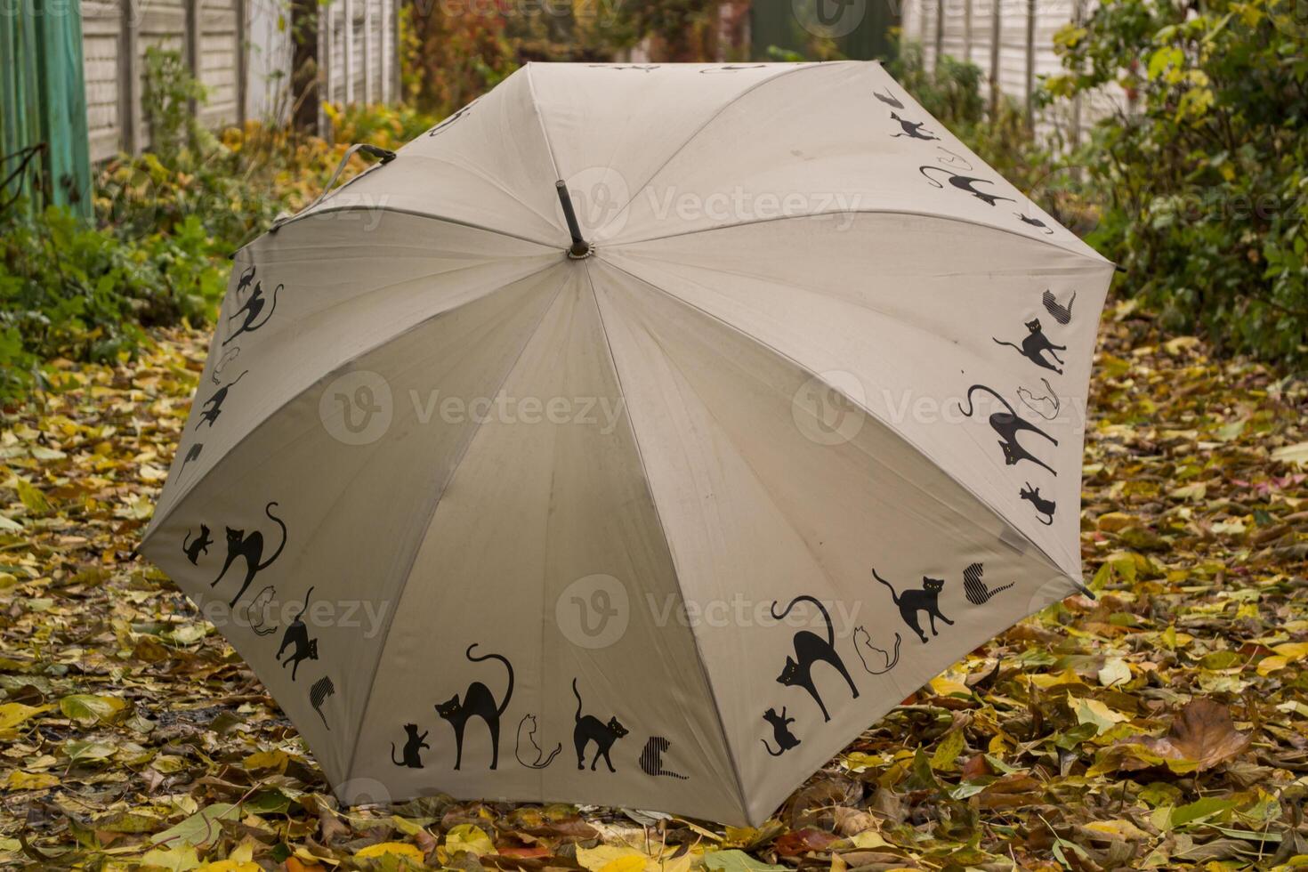 An umbrella on the autumn foliage. photo