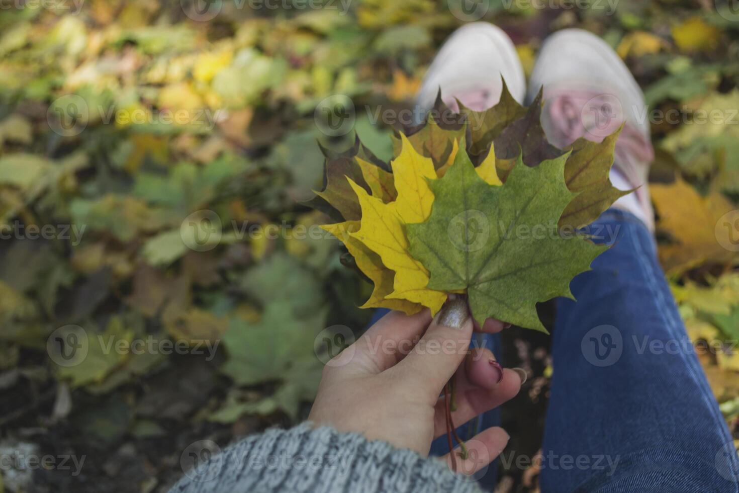 Woman holding the colorful autumn leaves. A bouquet of fallen leaves. Autumn vibes. photo