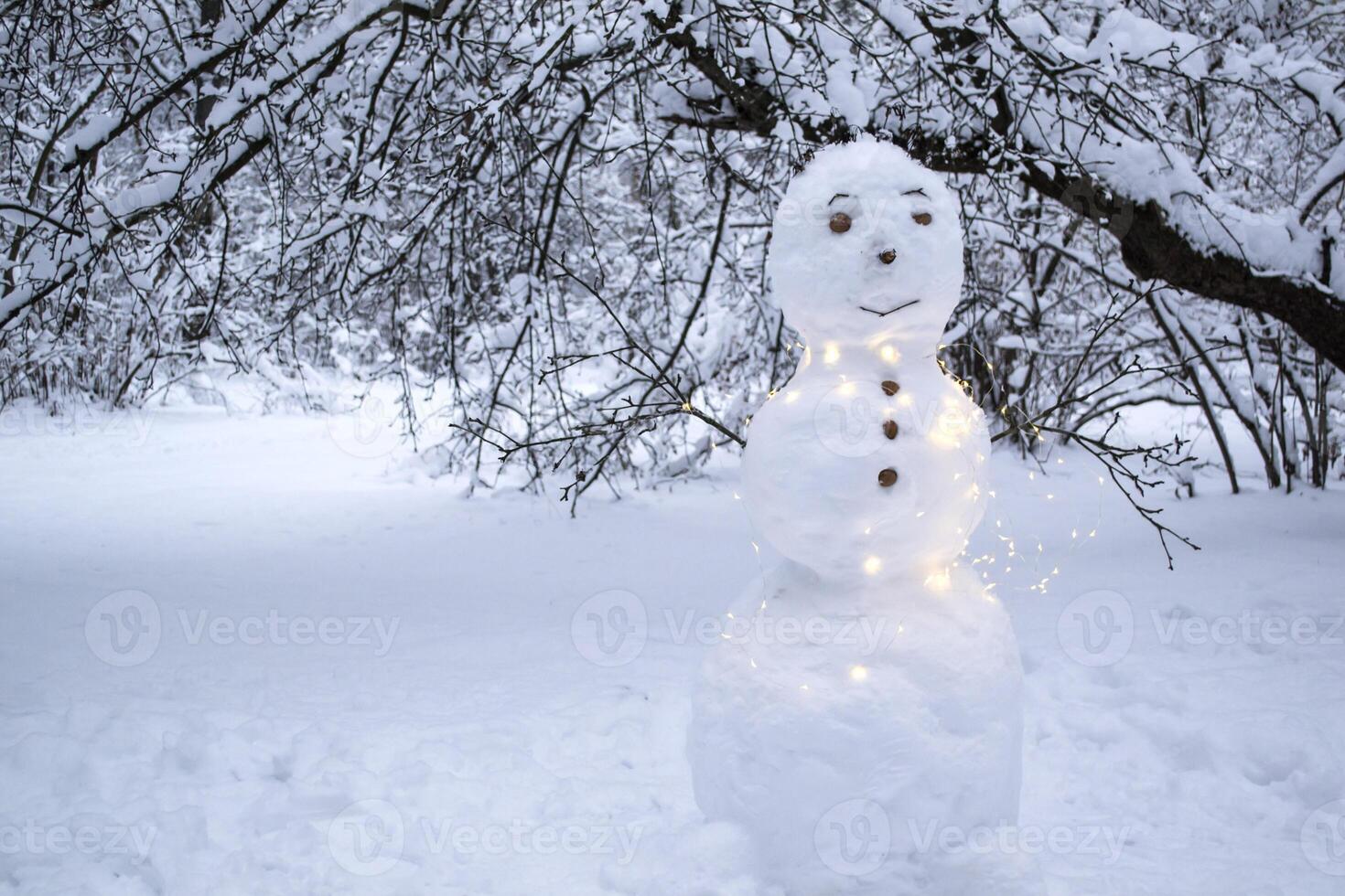 A cute snowman in the winter park. photo