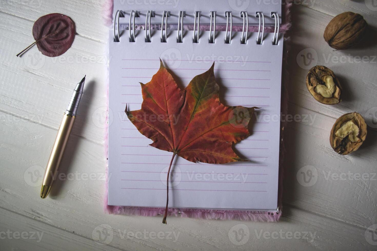 An opened notebook and pen on a desktop with decoration by fallen leaves. Atmospheric autumn background with copy space. photo