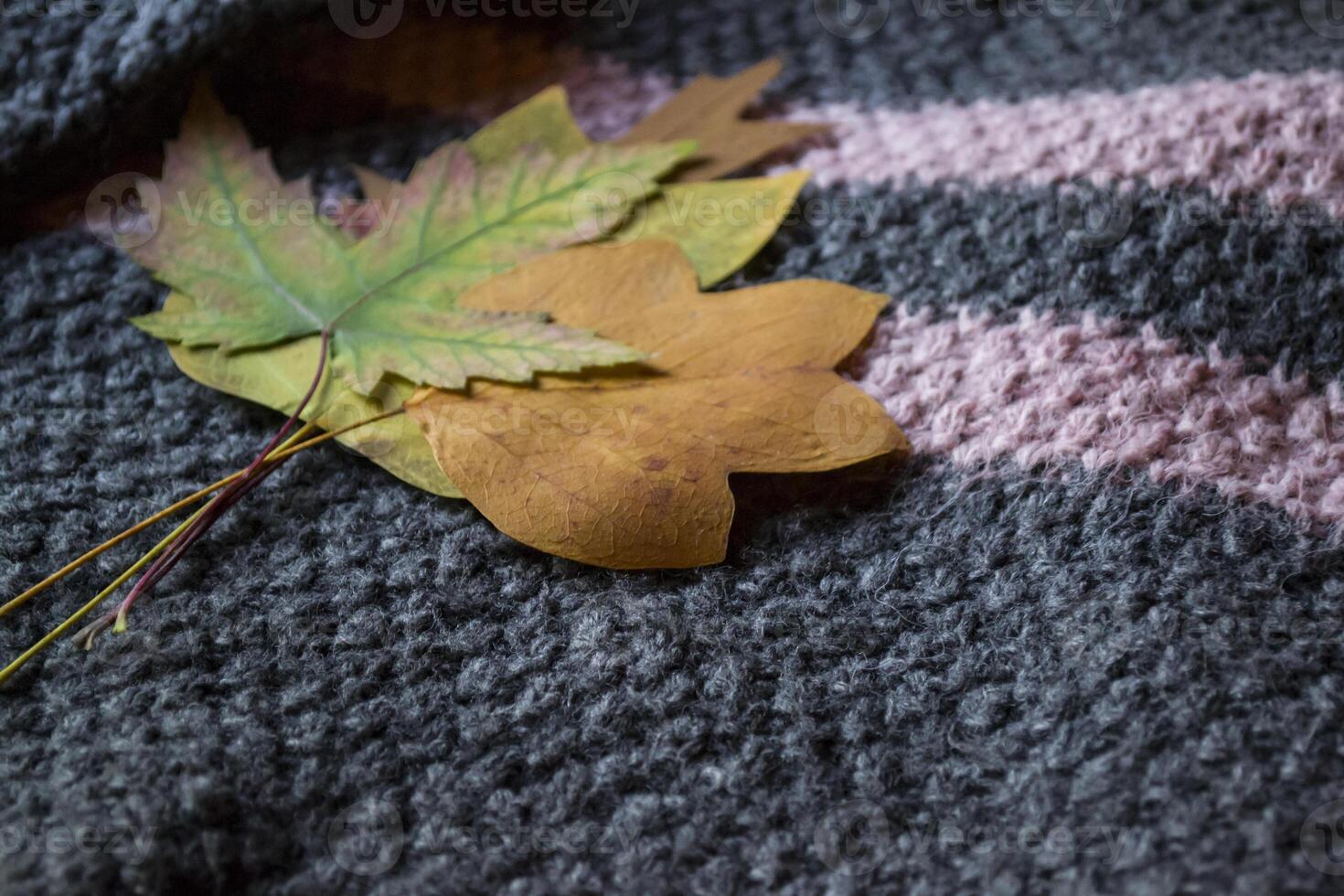 Autumn leaves on the woolen sweater. photo