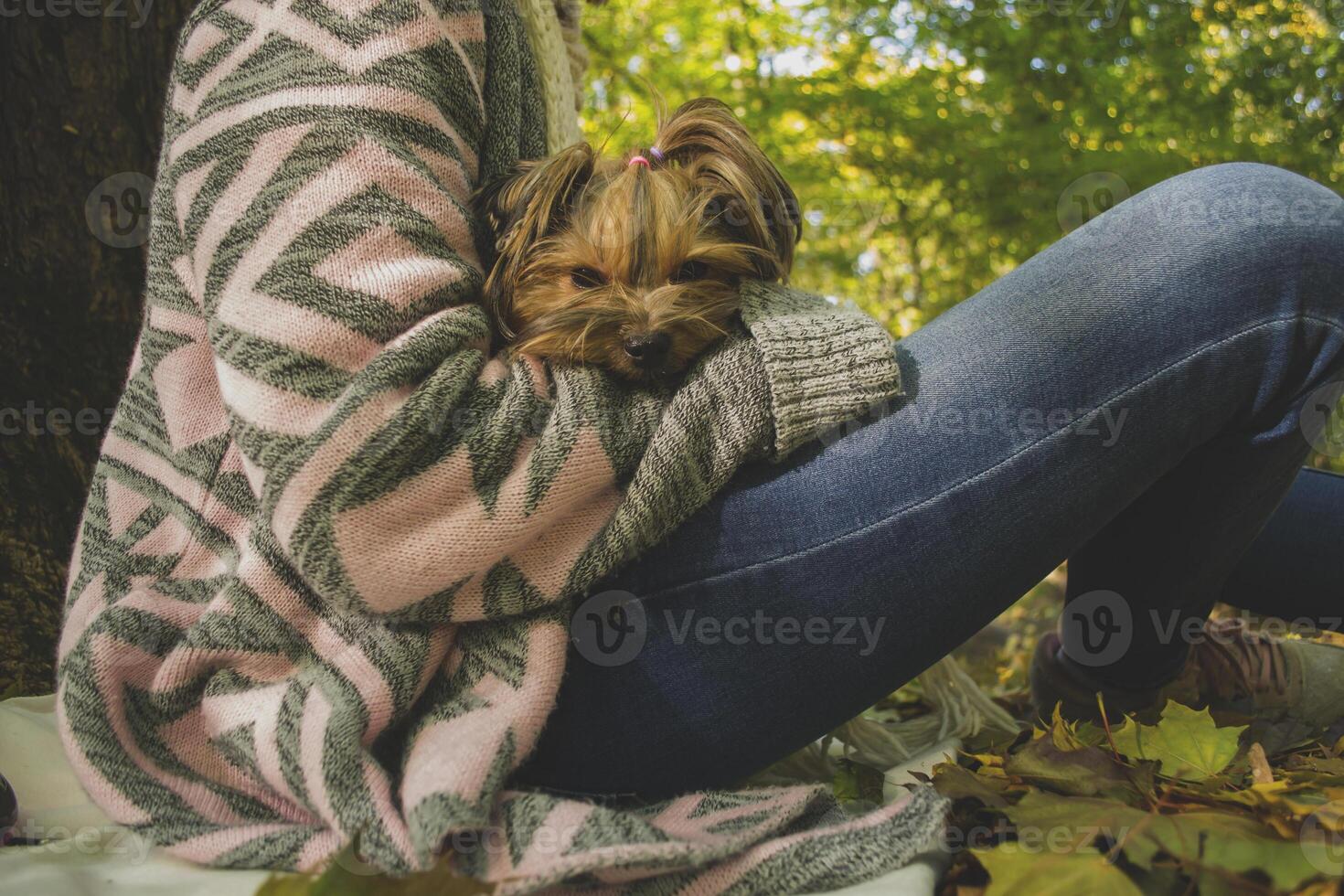 Woman with dog resting in the autumn park. photo