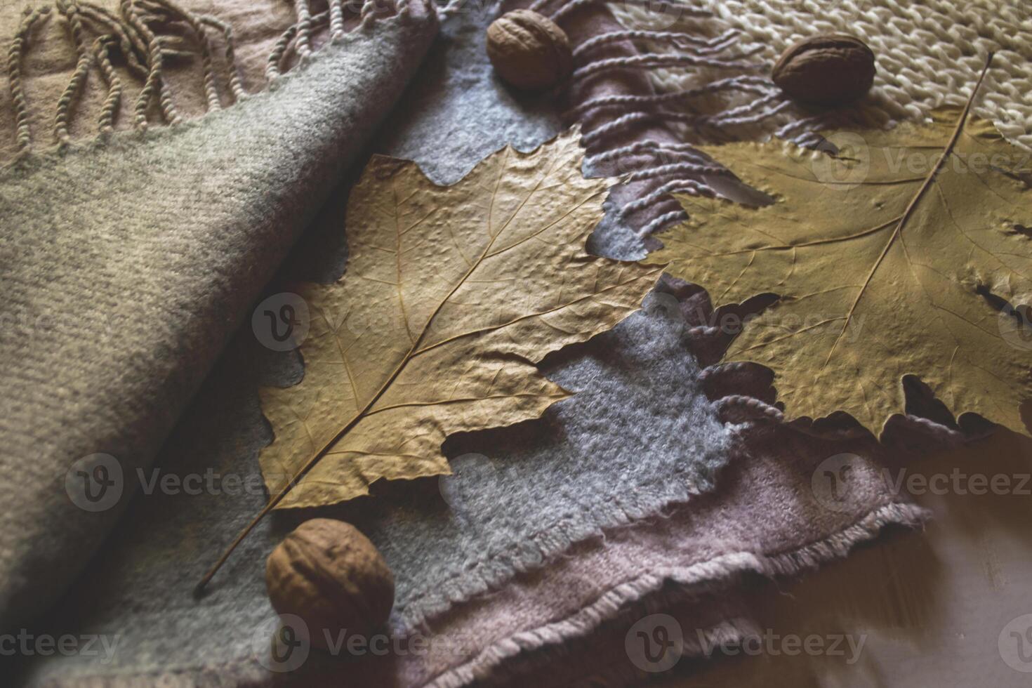 Warm scarves, yellow leaves and walnuts. Autumn background. photo