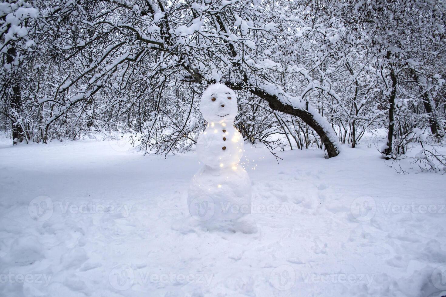 A cute snowman in the winter park. photo