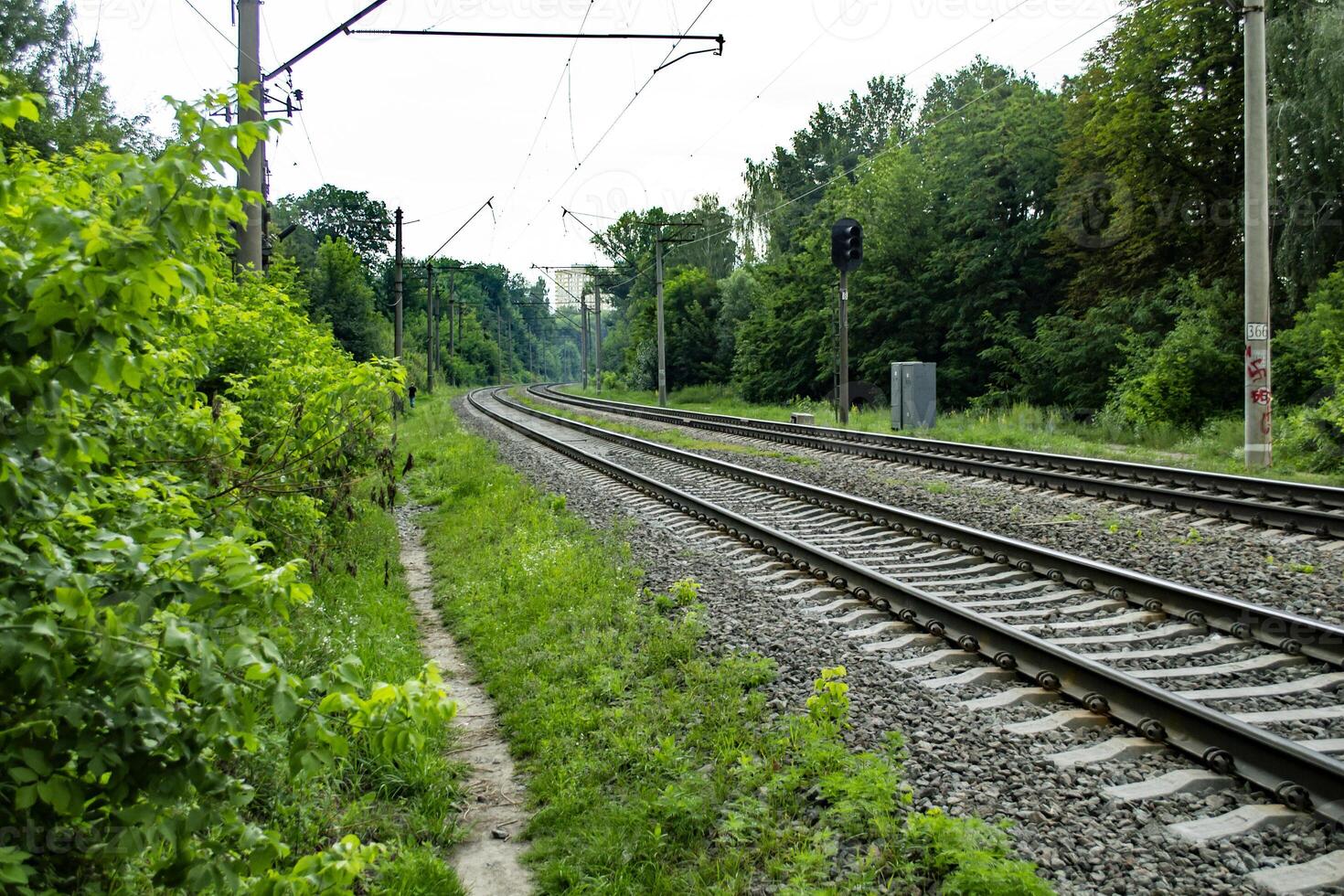 Old railroad tracks. photo