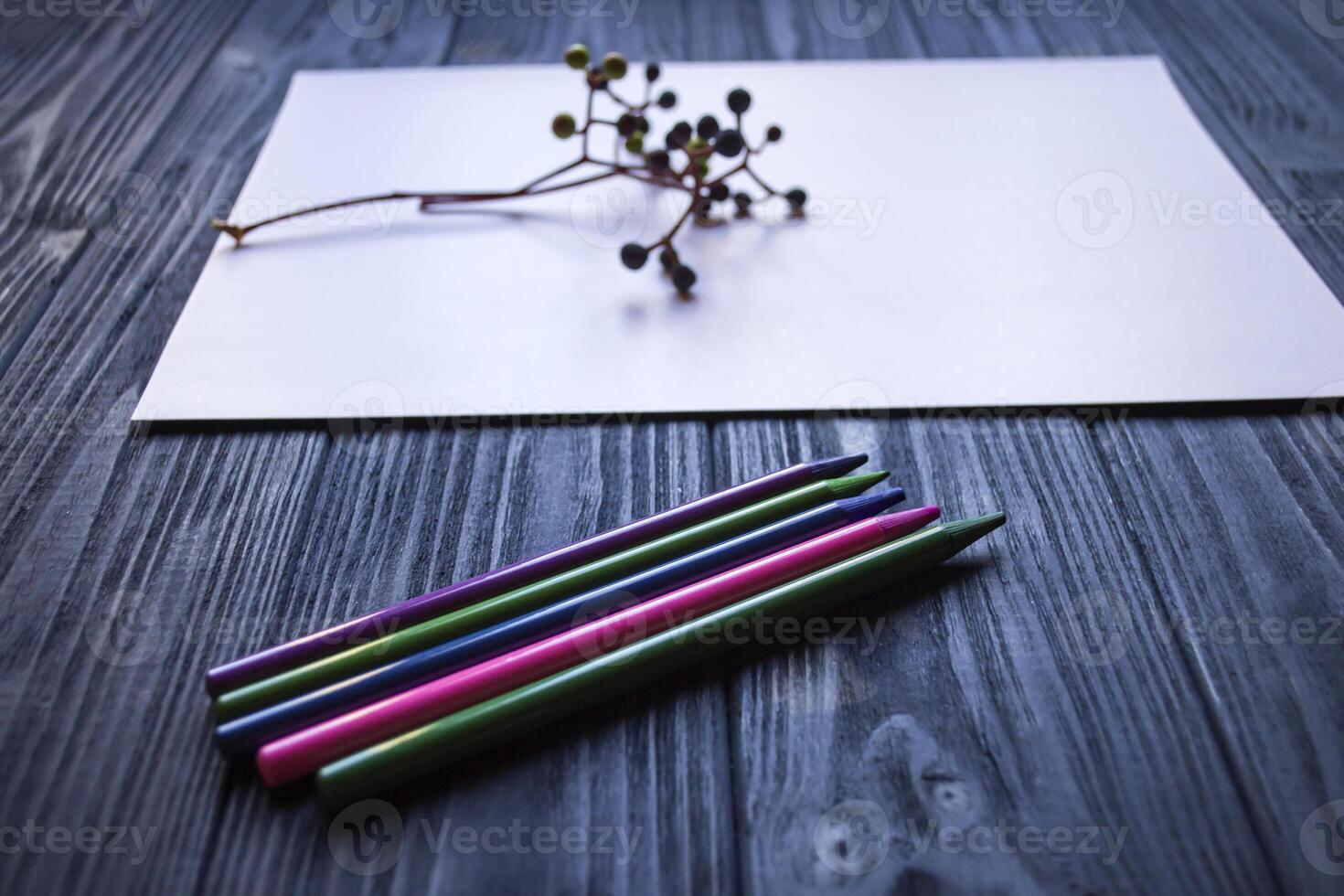 White paper, multi-color pencils and branch of wild grape. photo