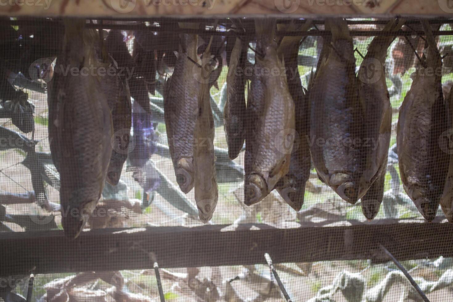The dry fish, close up. photo