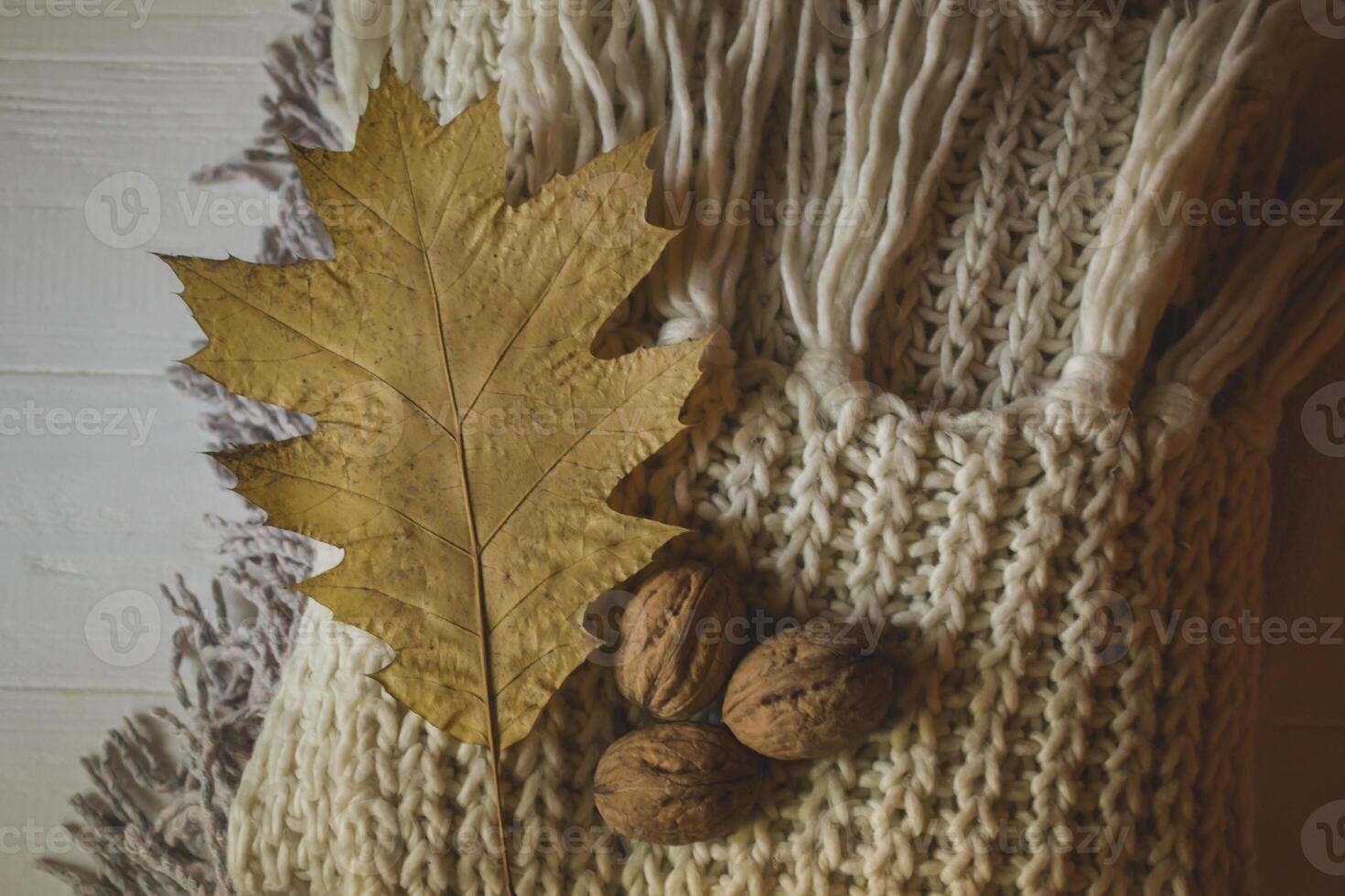 Warm scarves, yellow leaves and walnuts. Autumn background. photo