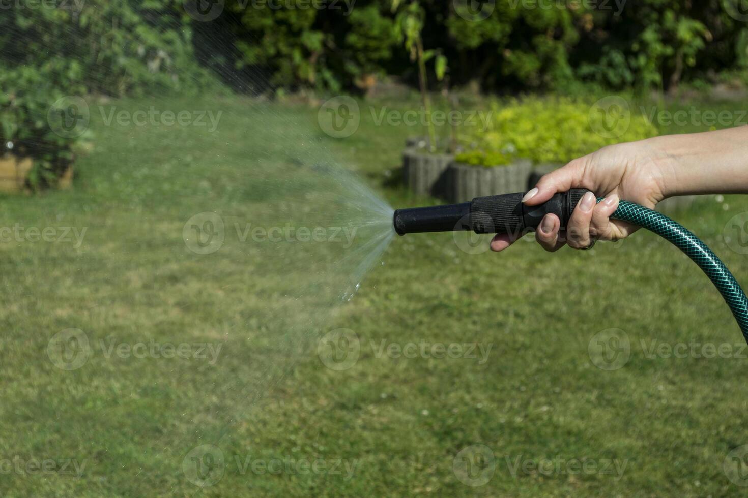 Water spraying from a garden hose in woman's hand. photo