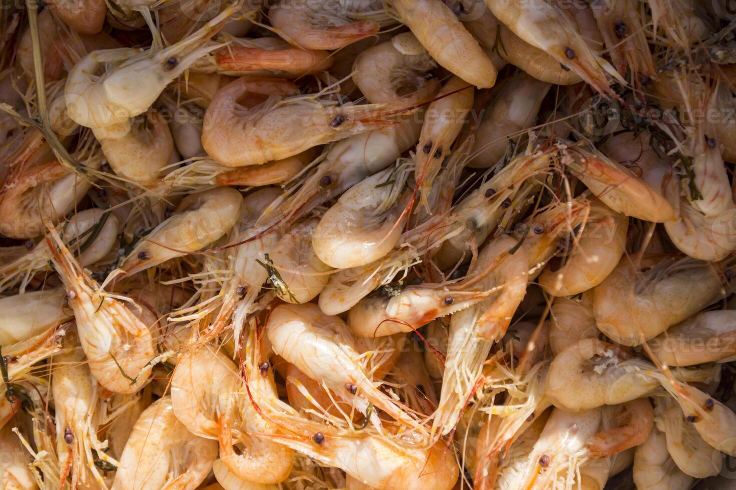 A lot of cooked shrimps. photo