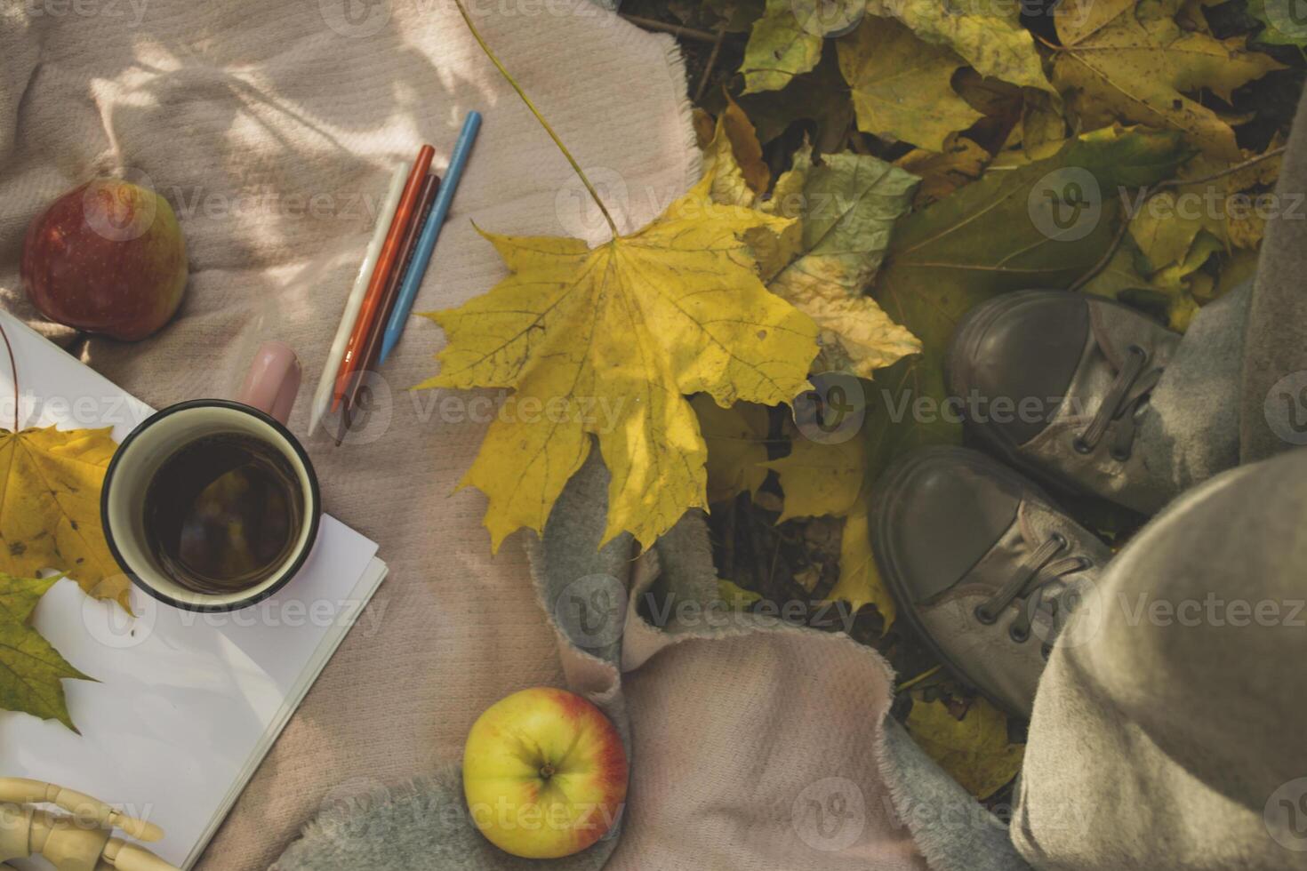 A cups of tea, red apples, album and pencils for drawing on the warm plaid in the autumn park near woman's feet in sneakers. Autumn still life photo