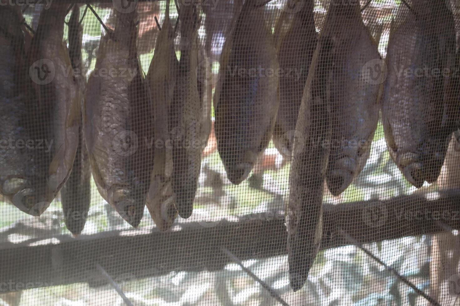 The dry fish, close up. photo