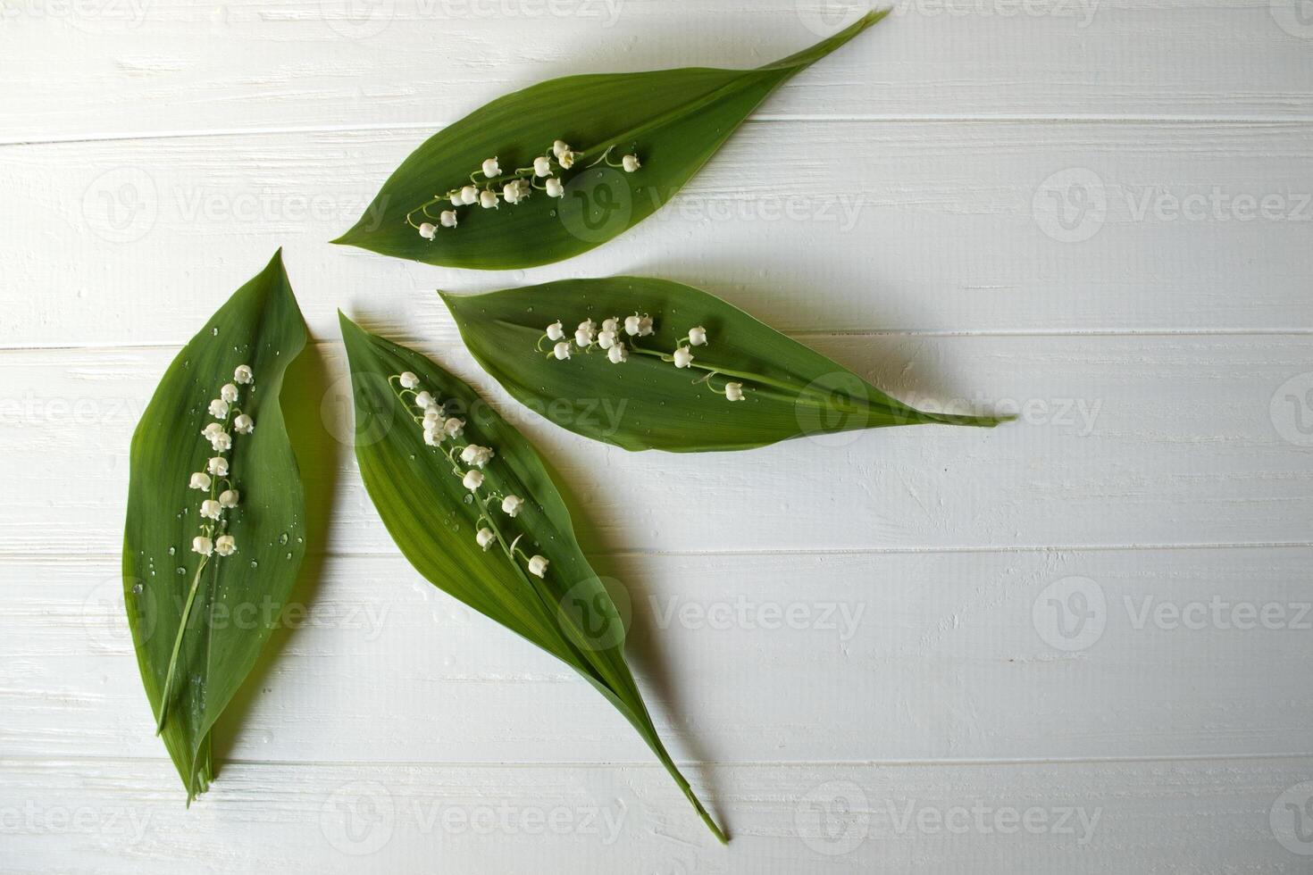 Lily of the valley on a white wooden background. Wild forest flower. photo