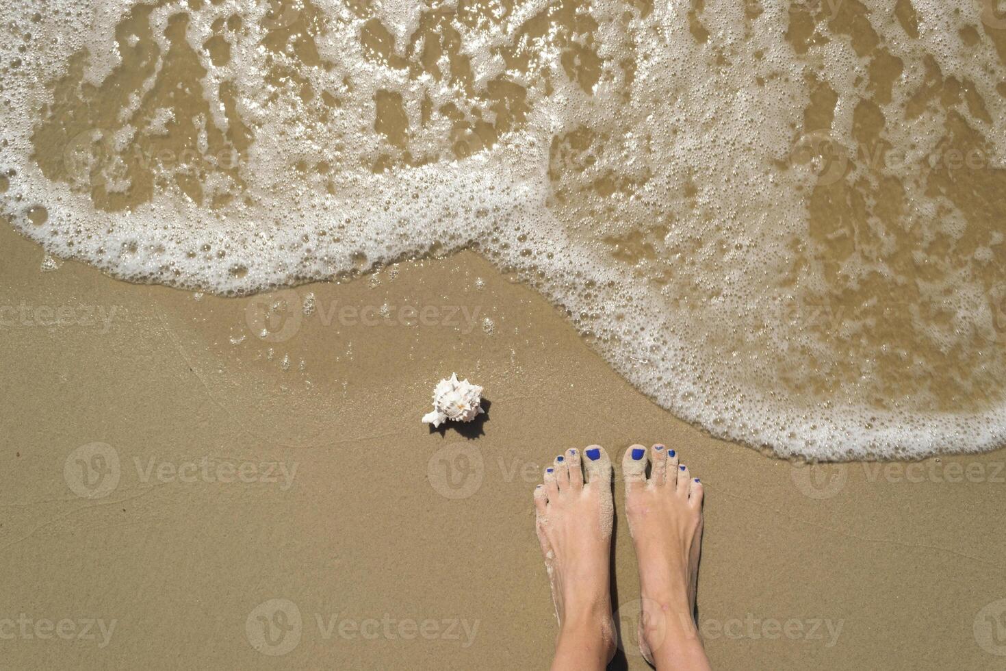 Female feet and seashell on the wet sand. photo