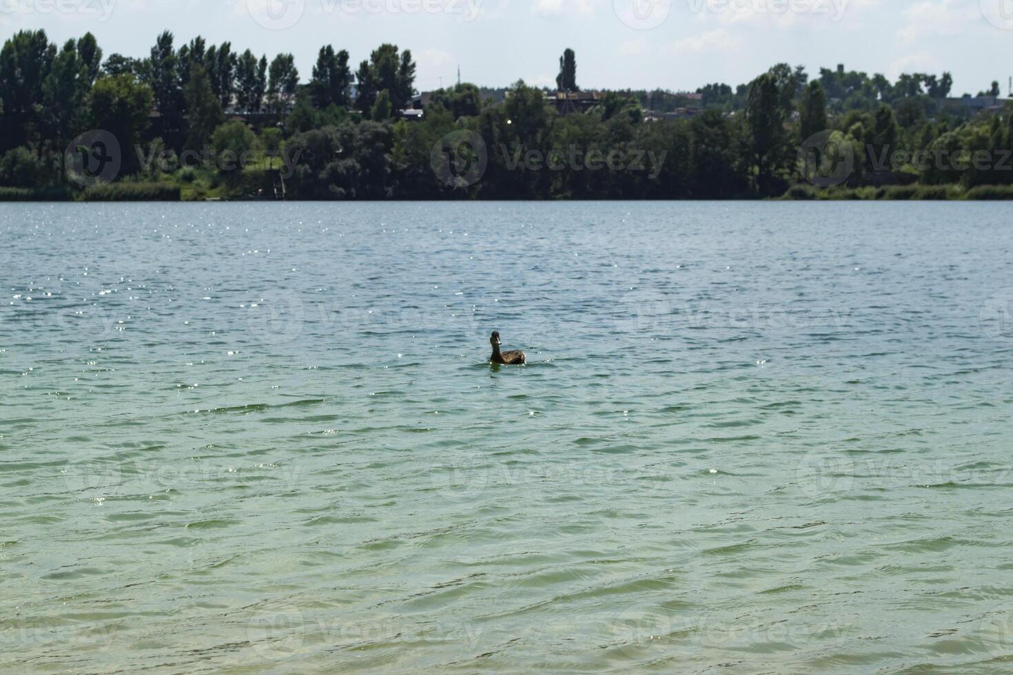 Beautiful blue lake. Summer landscape. The beauty of nature. photo