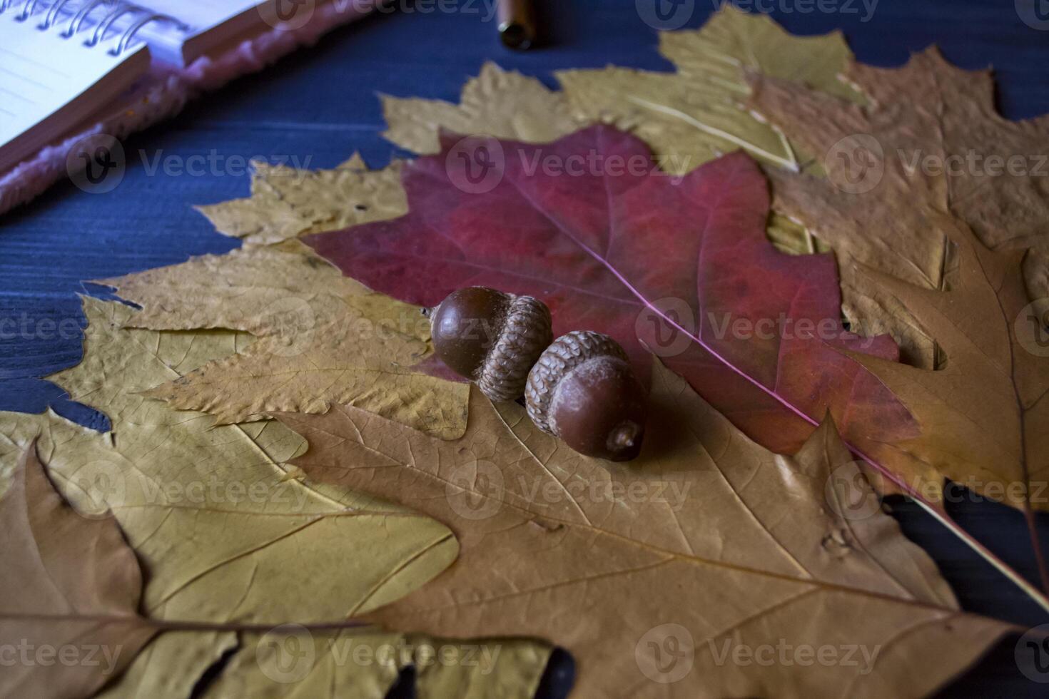 Autumn leaves and acorns on a table, close up. photo