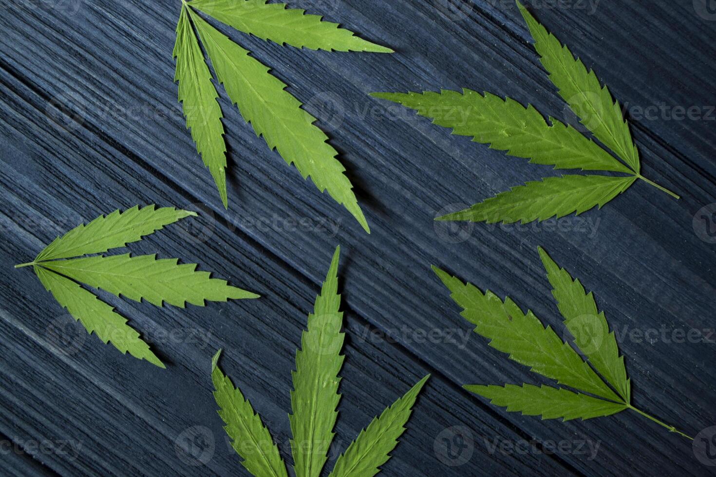 Green leaves of hemp on a dark blue wooden background. photo
