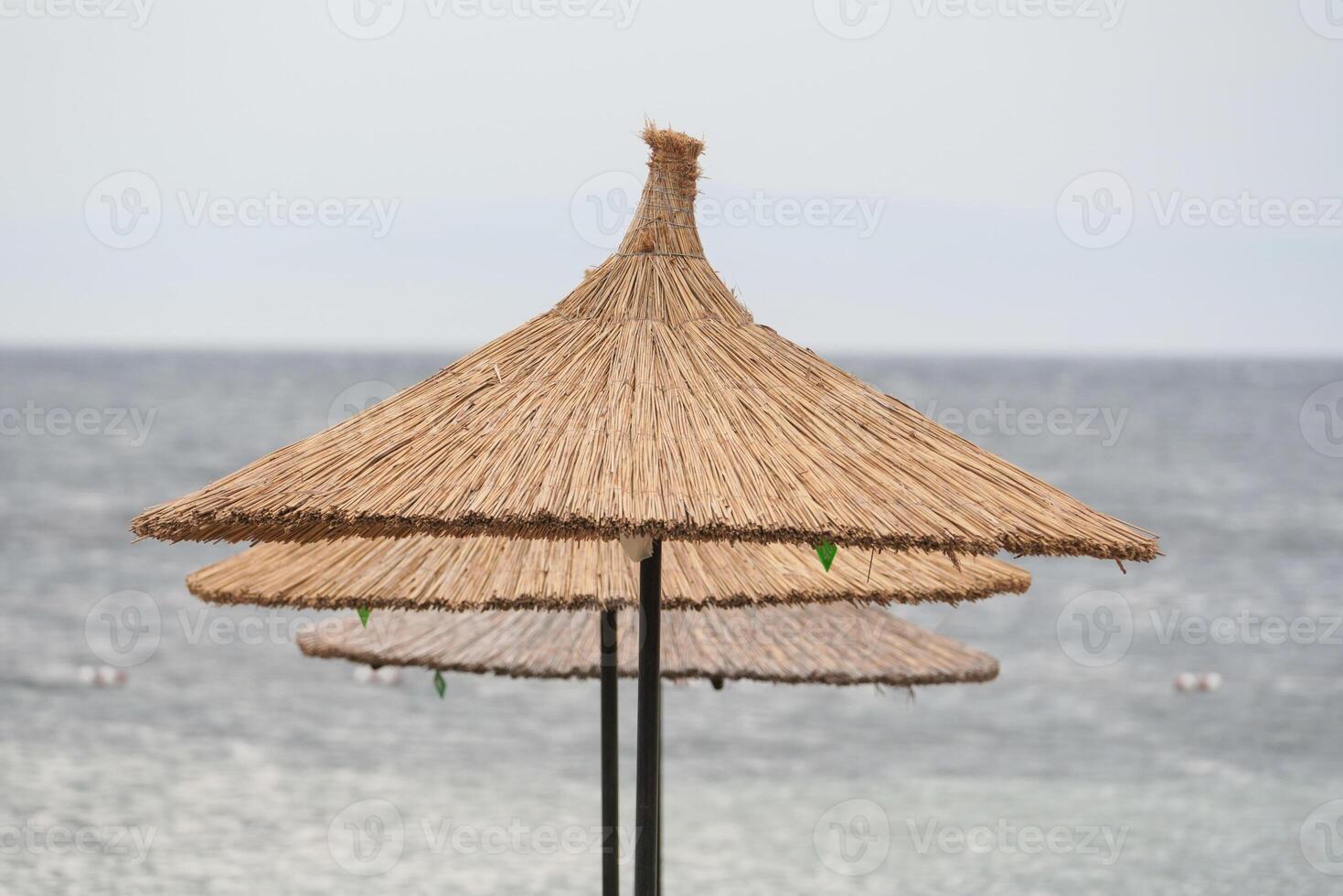 Sunbeds, Umbrellas and Hammocks in a beach photo