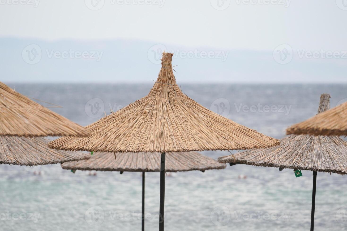 Sunbeds, Umbrellas and Hammocks in a beach photo