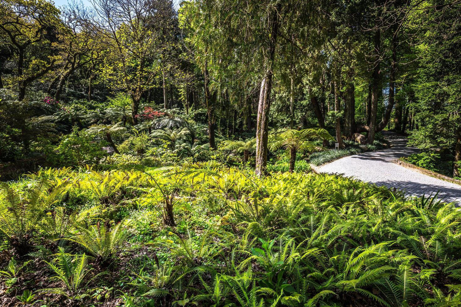 jardín de Edén jardín situado en sintra, Portugal foto
