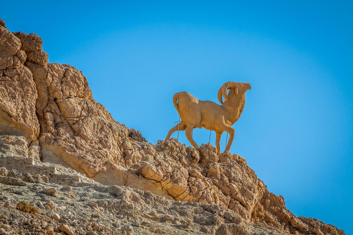 Mountain oasis Tamerza in Tunisia near the border with Algeria. photo