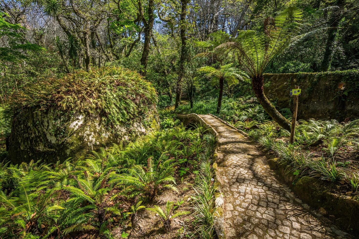 garden of eden garden located in Sintra, Portugal photo